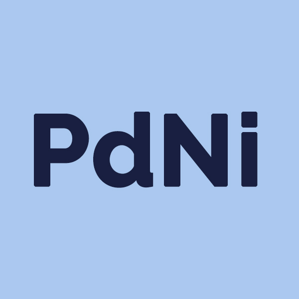   Palladium / Nickel Plating (PdNi)